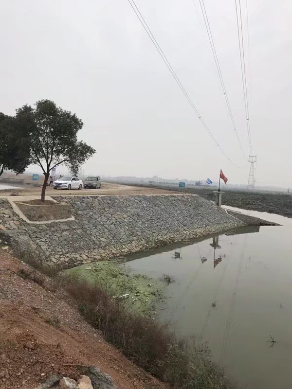 武穴石佛寺高標(biāo)準(zhǔn)農(nóng)田